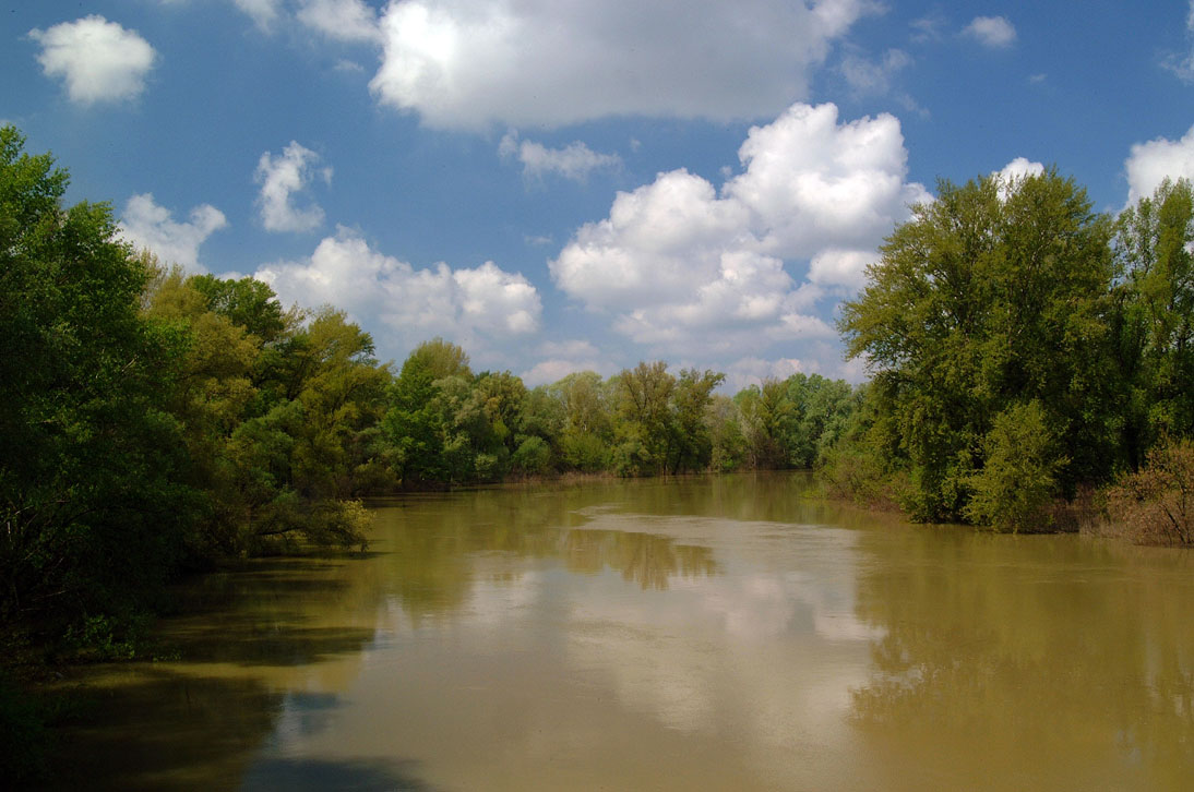 A folyók alsó és középső szakaszai optimális élőhelyet biztosítanak a halványfoltú küllőnek